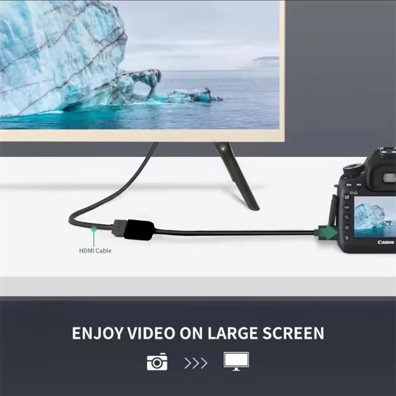Cavo di trasmissione dati Micr - Pi 4 Case recensione e prezzo