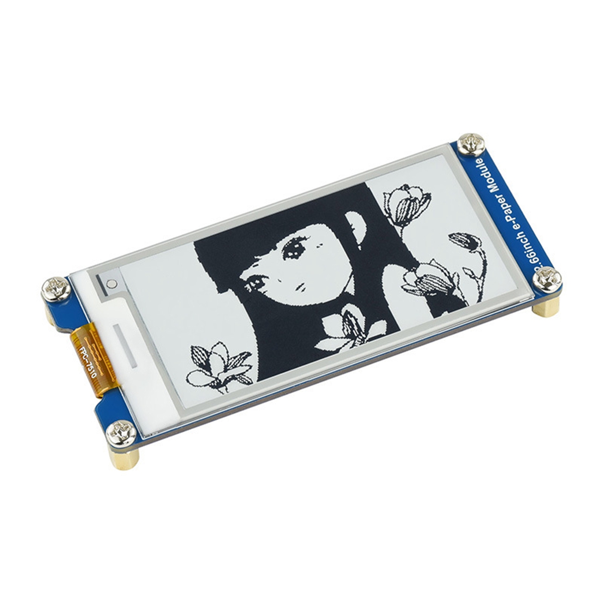 Modulo schermo e-ink AA08-E, m - Pi Display recensione e prezzo