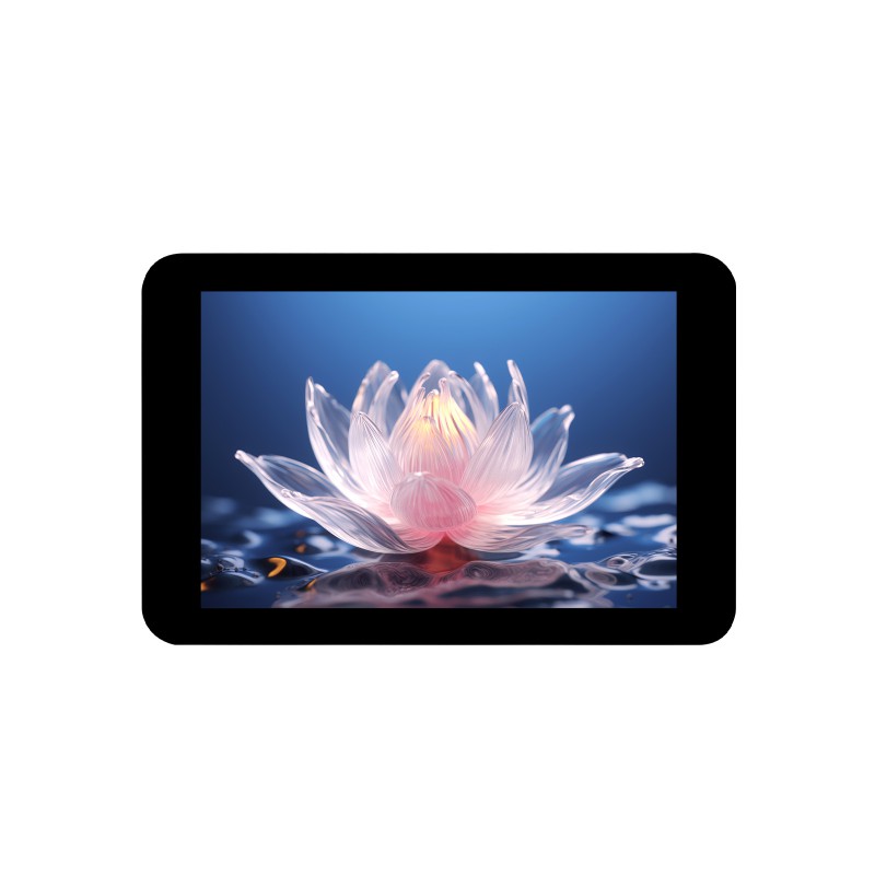Display Touch Capacitivo Waves - Pi Display recensione e prezzo